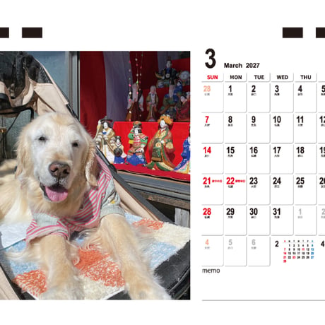 【予約販売】 ゴールデンレトリバー はっちの奮闘記 犬 2027年 卓上 カレンダー TC27153