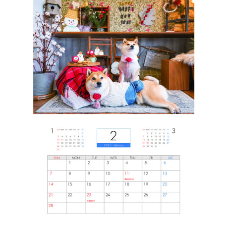 【予約販売】 柴犬の春子＆福 2027年 壁掛け カレンダー KK27280