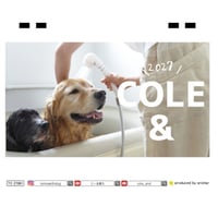 【予約販売】 こーる君たち ゴールデンレトリバー 犬 2027年 卓上 カレンダー TC27262