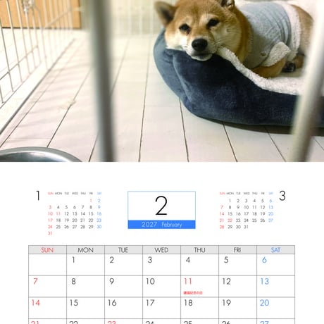 【予約販売】 豆柴 ふわり 2027年 壁掛け カレンダー KK27052