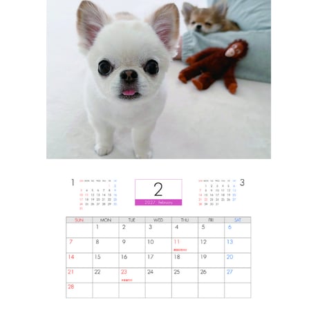 【予約販売】 うに&えび&とろ チワワ 犬 2027年 壁掛け カレンダー KK27202