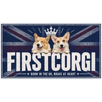 【予約販売】 初めてのコーギー 犬 ステッカー No33 3枚セット