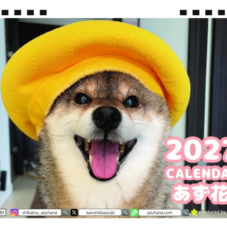 【予約販売】 柴犬のあず花 2027年 卓上 カレンダー TA27183
