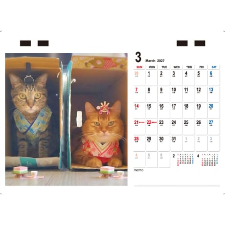 【予約販売】 しぴ＆おこめ 猫 2027年 卓上 カレンダー TC27277