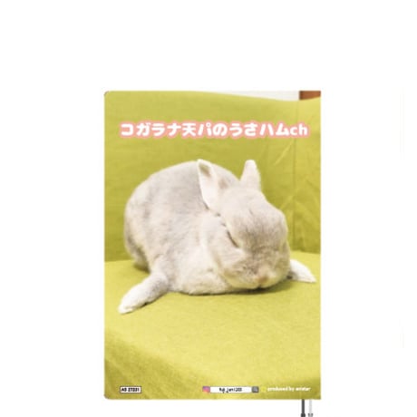 【予約販売】 コガラナ天パのうさハムch うさぎのぽぽちゃん 2027年 A5スケジュール帳 A527231