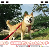【予約販売】 豆柴認定リンちゃん 柴犬 2027年 卓上 カレンダー TC27180