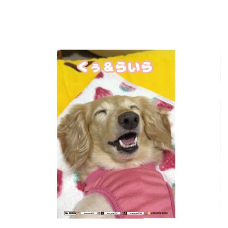 【予約販売】 くぅ＆らいら ミニチュアダックス 犬 A5ノート手帳 No026NN