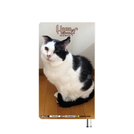 【予約販売】 Hana Channel 保護猫ライフ 2027年 ポケットスケジュール帳 PO27303