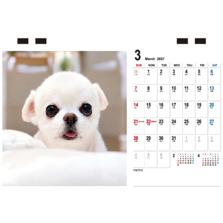 【予約販売】 てんちゃん＆たるちゃん 2027年 卓上 カレンダー TC27193