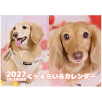 【予約販売】 くぅ＆らいら ミニチュアダックス 犬 2027年 壁掛け カレンダー KK27249