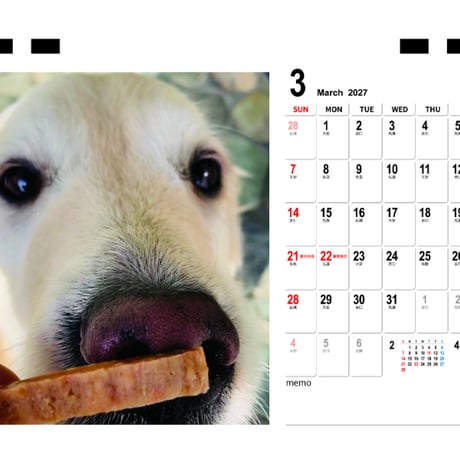 【予約販売】 ゴールデンレトリバー メイちゃんねる 犬 2027年 卓上 カレンダー TC27146