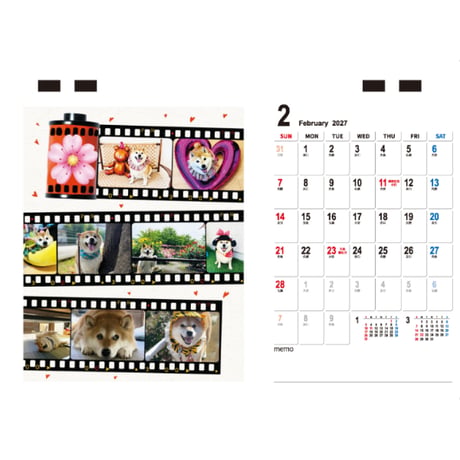 【予約販売】 柴犬ハナ 2027年 卓上 カレンダー TC27238