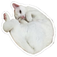 【予約販売】 ねこかます 猫 ステッカーNo31 3枚セット SU031NN