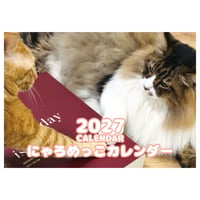 【予約販売】 猫のにゃろめっこ 2027年 壁掛け カレンダー KK27100