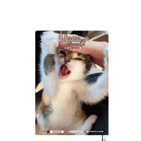 【予約販売】 Hana Channel 保護猫ライフ 2027年 A5スケジュール帳 A527302