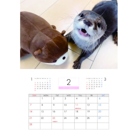 【予約販売】 カワウソ さくら 2027年 壁掛け カレンダー KK27296