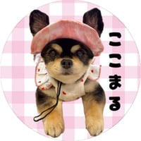【予約販売】 ここまる三兄弟 缶バッジ No12 3個セット GE012NN