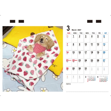 【予約販売】 くぅ＆らいら ミニチュアダックス 犬 2027年 卓上 カレンダー TC27250