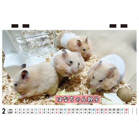 【予約販売】 ハムスターちゃんねる 2027年 卓上 カレンダー TC27260