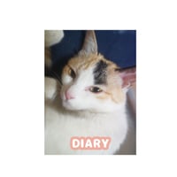 【予約販売】 ねこかます 猫 日記帳No15 DR015NN