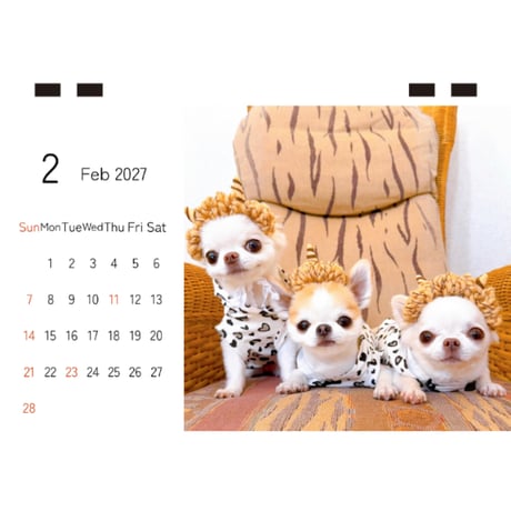 【予約販売】 おもちちゃん＆おかゆちゃん＆おしるこくん チワワ 犬 2027年 卓上 カレンダー TC27197