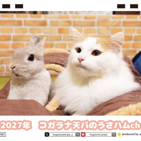 【予約販売】 コガラナ天パのうさハムch うさぎのぽぽちゃん 2027年 卓上 カレンダー TC27230