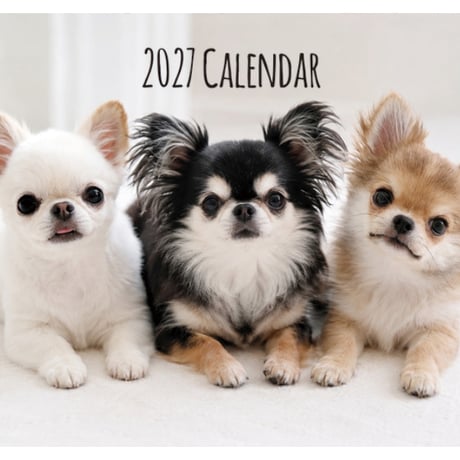 【予約販売】 うに&えび&とろ チワワ 犬 2027年 壁掛け カレンダー KK27202