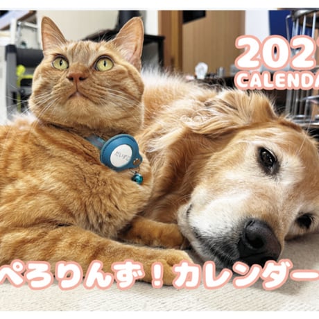 【予約販売】 ゴールデンレトリバー犬＆保護猫 ぺろりんず！ 2027年 壁掛け カレンダー KK27047