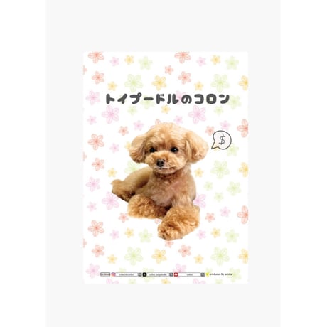 【予約販売】 トイプードル犬のコロン 家計簿帳No9 CA009NN