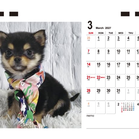 【予約販売】 SHIBA CHIWA TORO 犬 2027年 卓上 カレンダー TC27293