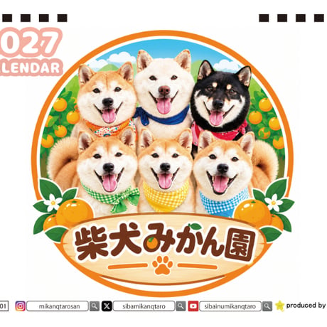 【予約販売】 柴犬みかん園ファミリー 2027年 卓上 カレンダー TA27287