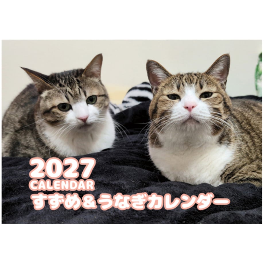 6ab68347864f2eb5542925d6
