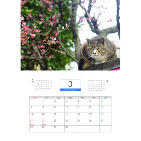 【予約販売】 ねこかます 猫 2027年 壁掛け カレンダー KK27125