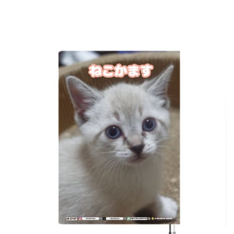 【予約販売】 ねこかます 猫 2027年 A5スケジュール帳 A527127