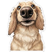 【予約販売】 くぅ＆らいら ミニチュアダックス 犬 ステッカー 3枚セット SU040NN