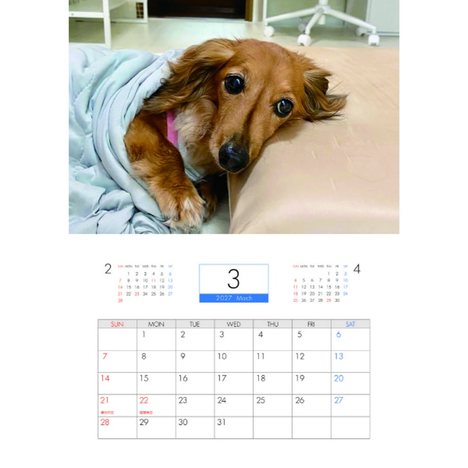 6aaa979d2ad2510e4527587e