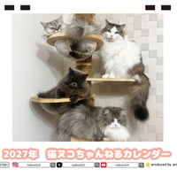 【予約販売】 猫ヌコチャンネル 2027年 卓上 カレンダー TC27170