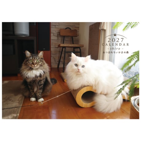 【予約販売】 あつまれちいかまの森 猫 2027年 壁掛け カレンダー KK27307