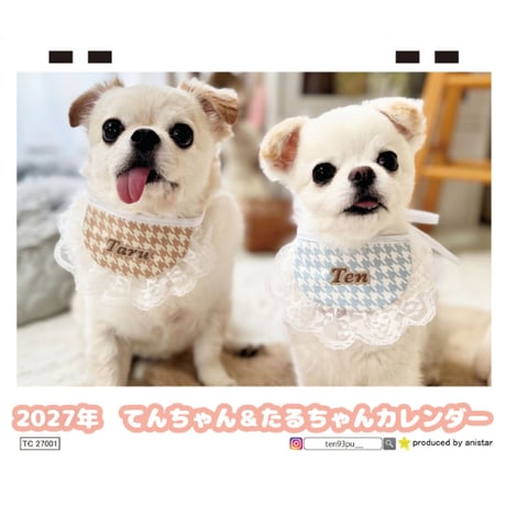 【予約販売】 てんちゃん＆たるちゃん 2027年 卓上 カレンダー TC27193