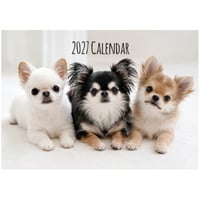 【予約販売】 うに&えび&とろ チワワ 犬 2027年 壁掛け カレンダー KK27202