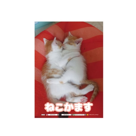 【予約販売】 ねこかます 猫 家計簿帳No12 CA012NN