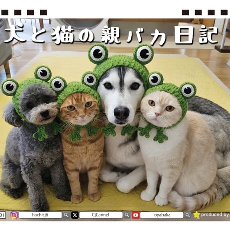 【予約販売】 犬と猫の親バカ日記 2027年 卓上 カレンダー TA27113