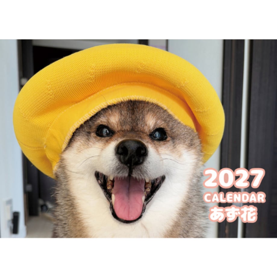6abcf1a02d76640c17e0f8c0