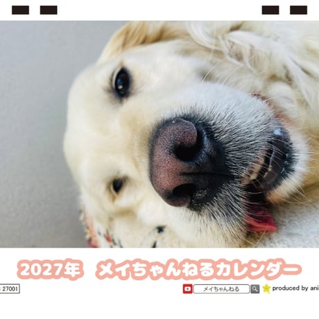 【予約販売】 ゴールデンレトリバー メイちゃんねる 犬 2027年 卓上 カレンダー TC27146