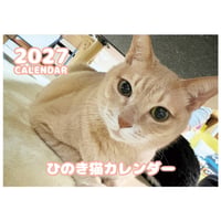 【予約販売】 ひのき猫 2027年 壁掛け カレンダー KK27275