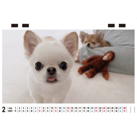 【予約販売】 うに&えび&とろ チワワ 犬 2027年 卓上 カレンダー TC27204