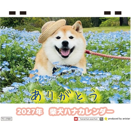 【予約販売】 柴犬ハナ 2027年 卓上 カレンダー TC27238