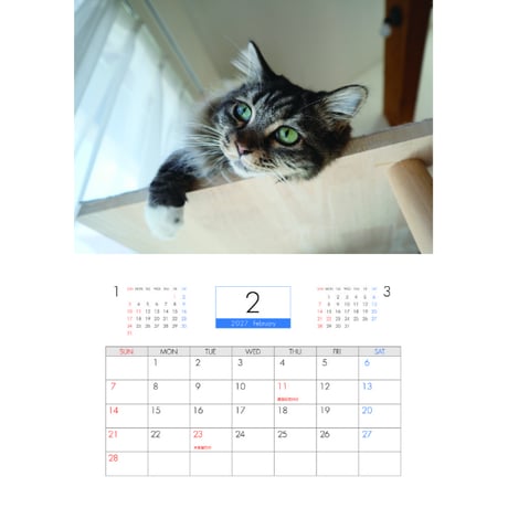 【予約販売】 あつまれちいかまの森 猫 2027年 壁掛け カレンダー KK27307
