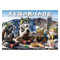 【予約販売】 犬と猫の親バカ日記 2027年 壁掛け カレンダー KK27110
