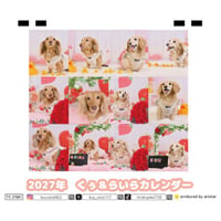 【予約販売】 くぅ＆らいら ミニチュアダックス 犬 2027年 卓上 カレンダー TC27250